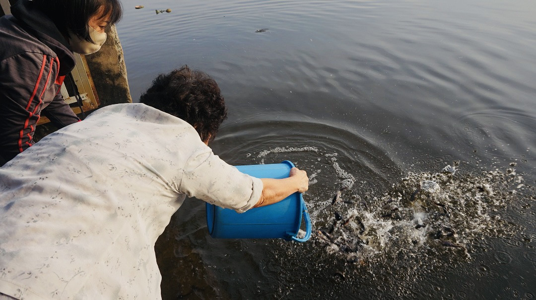 Người Sài Gòn đeo khẩu trang, thả cá chép đưa ông Táo về trời ảnh 9
