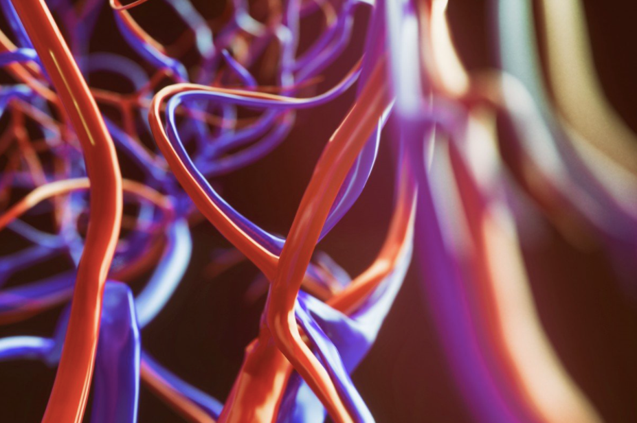 Nghiên cứu mới về sự tấn công của virus corona đối với người mắc COVID - 19 ảnh 1