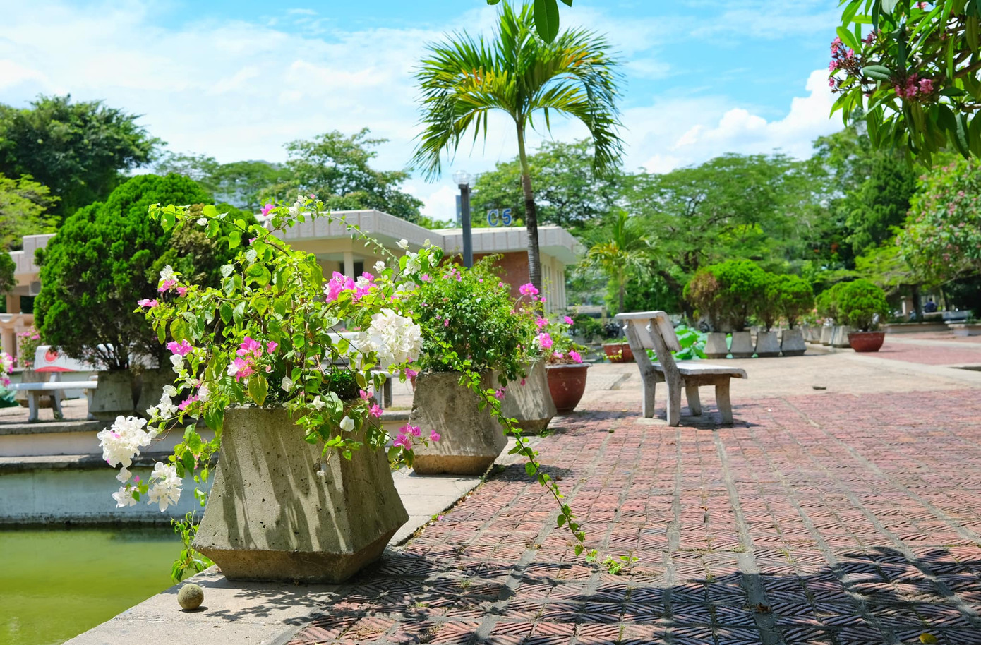 Giảng đường đại học đẹp miên man ảnh 2