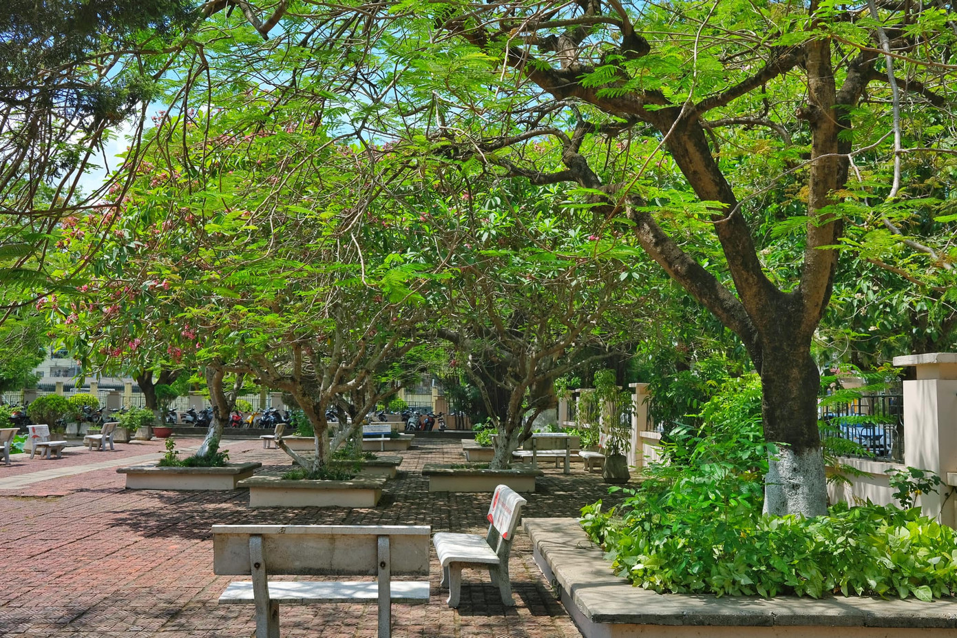 Giảng đường đại học đẹp miên man ảnh 7