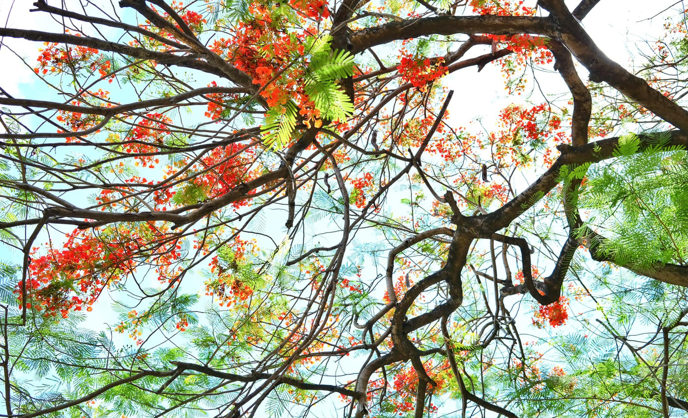 Giảng đường đại học đẹp miên man ảnh 15