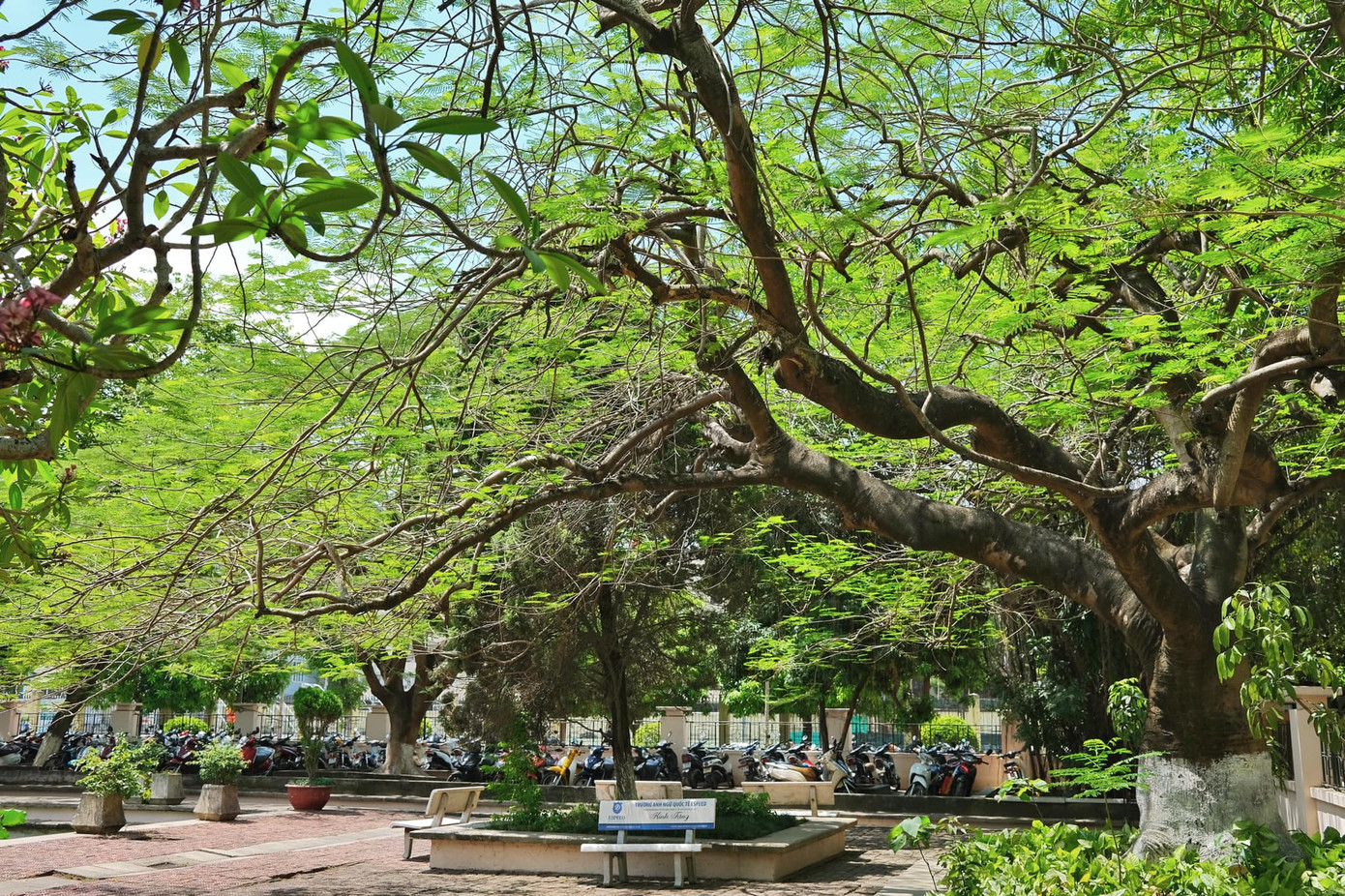 Giảng đường đại học đẹp miên man ảnh 4