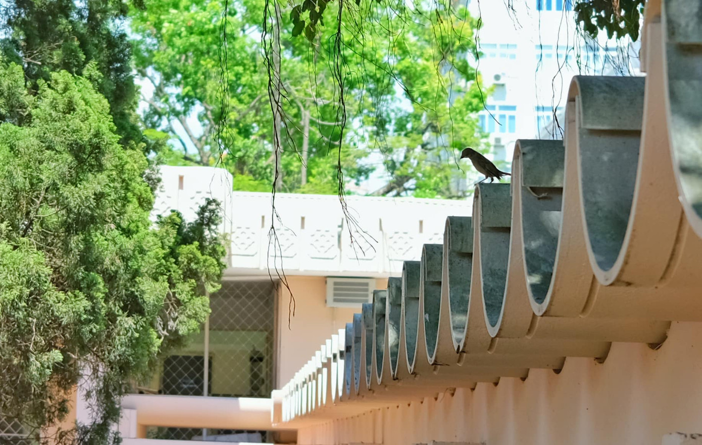 Giảng đường đại học đẹp miên man ảnh 16