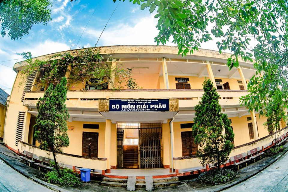 Trường Y dược mộng mơ trong nắng đầu Hè ảnh 3