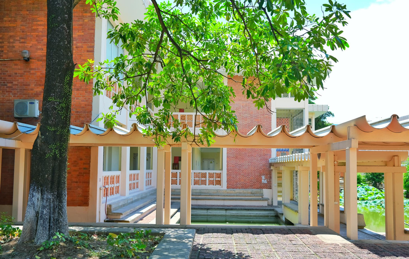 Giảng đường đại học đẹp miên man ảnh 17