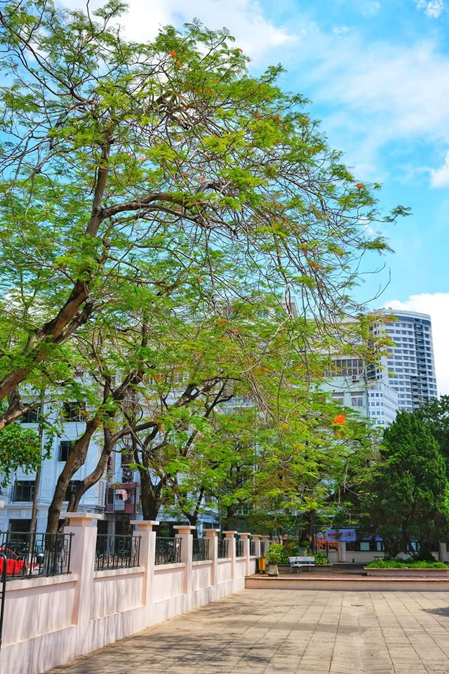 Giảng đường đại học đẹp miên man ảnh 6