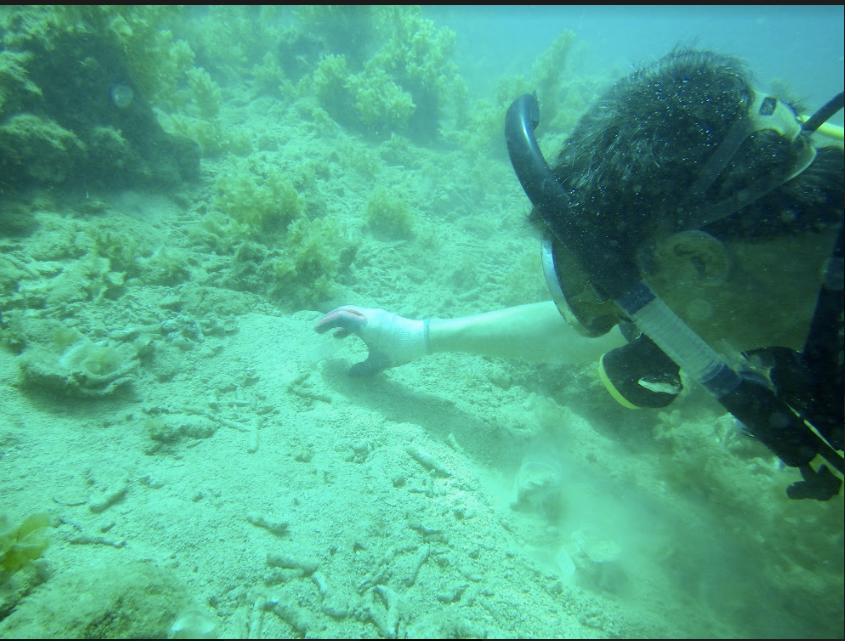 Những ngành học lạ tai ở một trường đại học nằm trong Viện hàn lâm ảnh 6