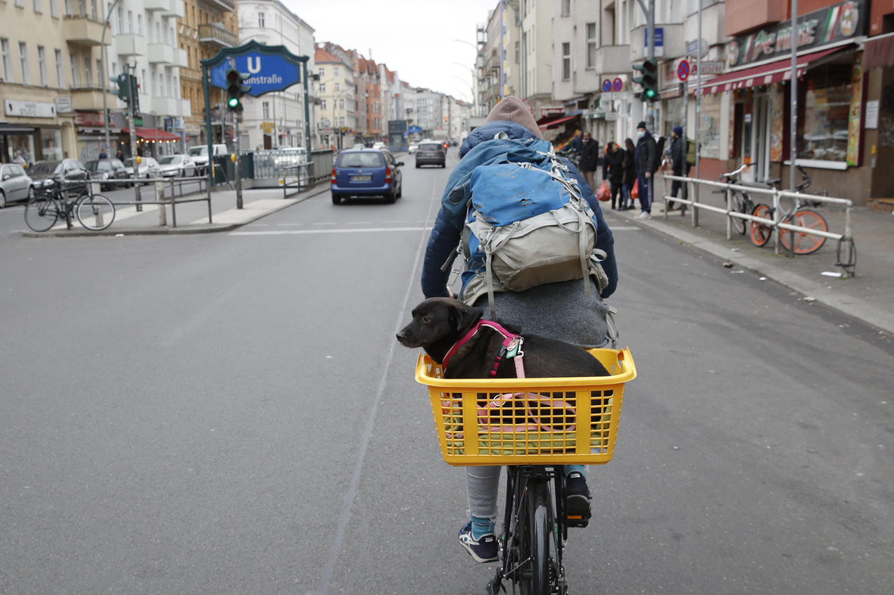 Cả nước Ý bị phong toả vì Covid-19, chó là “vị cứu tinh" ảnh 2