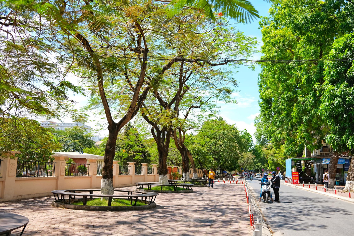 Giảng đường đại học đẹp miên man ảnh 18