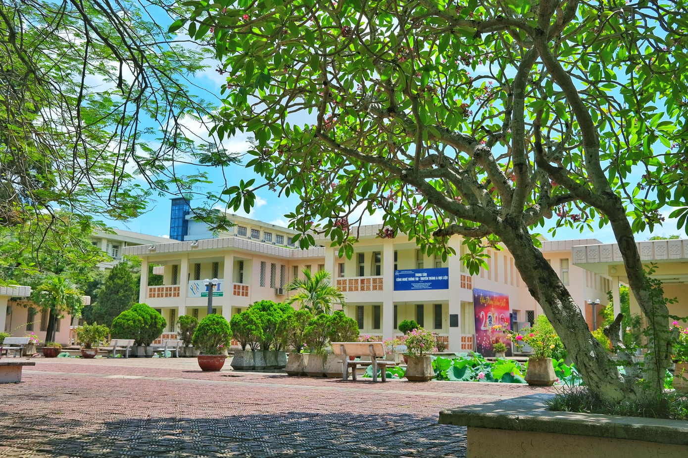 Giảng đường đại học đẹp miên man ảnh 3