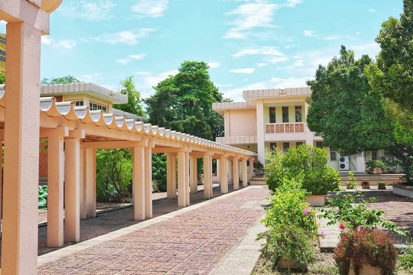 Giảng đường đại học đẹp miên man ảnh 11