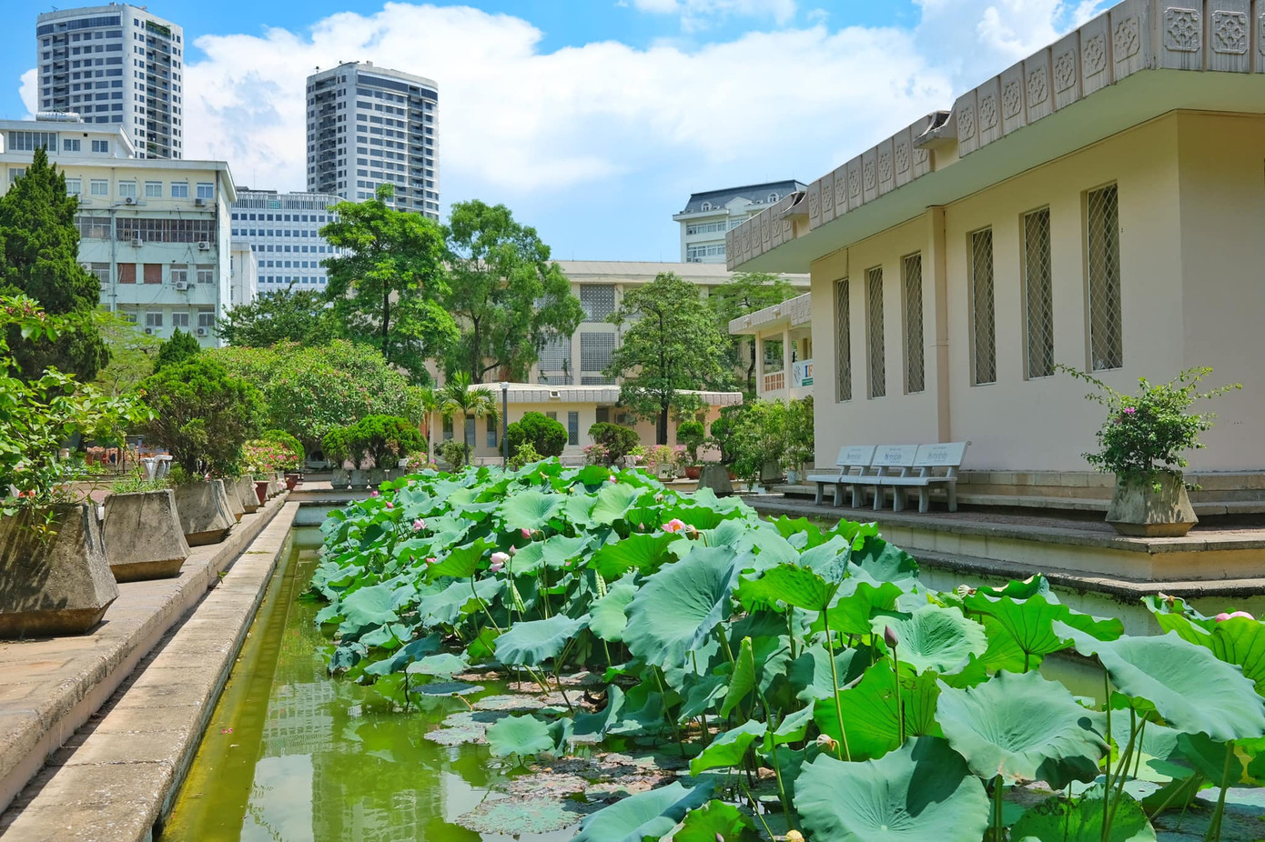 Giảng đường đại học đẹp miên man ảnh 5