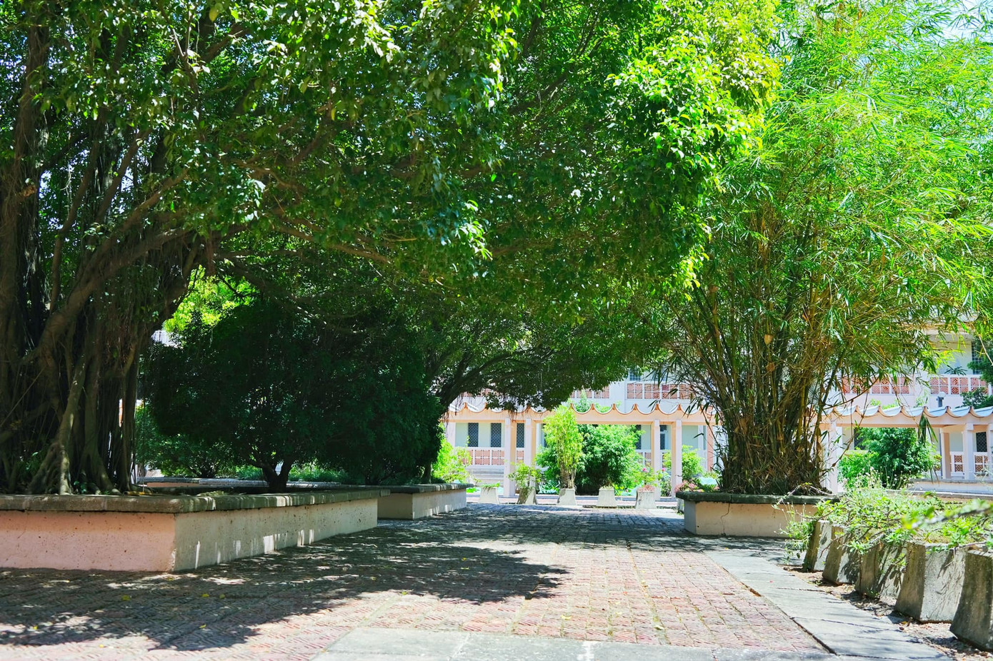 Giảng đường đại học đẹp miên man ảnh 14