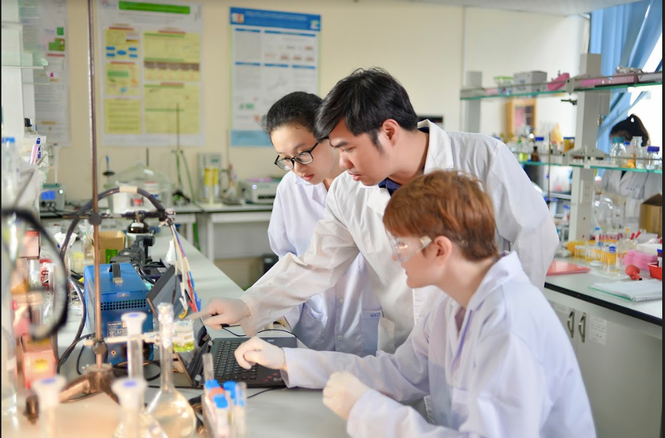 Thiết kế nghề nghiệp cho tương lai ảnh 2