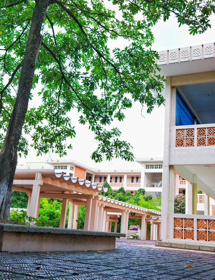 Giảng đường đại học đẹp miên man ảnh 9