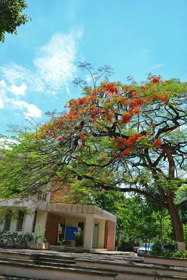 Giảng đường đại học đẹp miên man ảnh 13