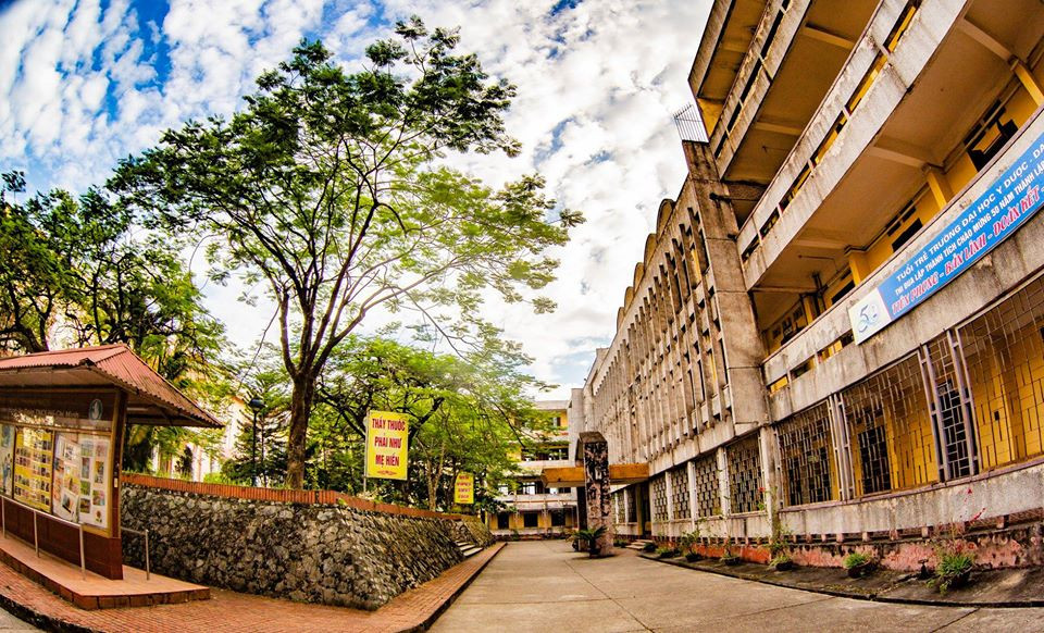 Trường Y dược mộng mơ trong nắng đầu Hè ảnh 5