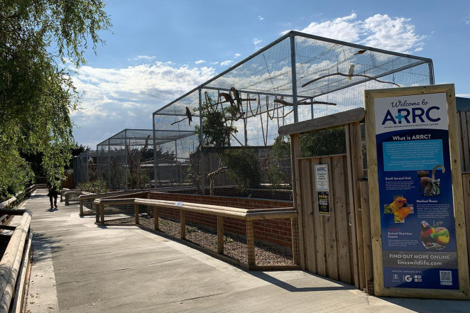 Choáng khi nghe bầy vẹt dạy nhau chửi thề, chửi du khách ảnh 1