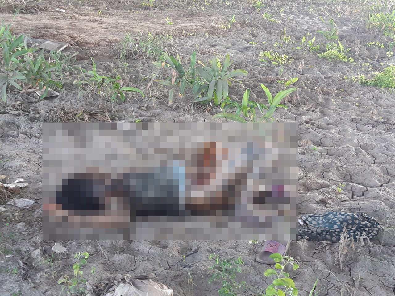 Phát hiện xác phụ nữ lõa thể dưới gầm cầu cao tốc ảnh 1