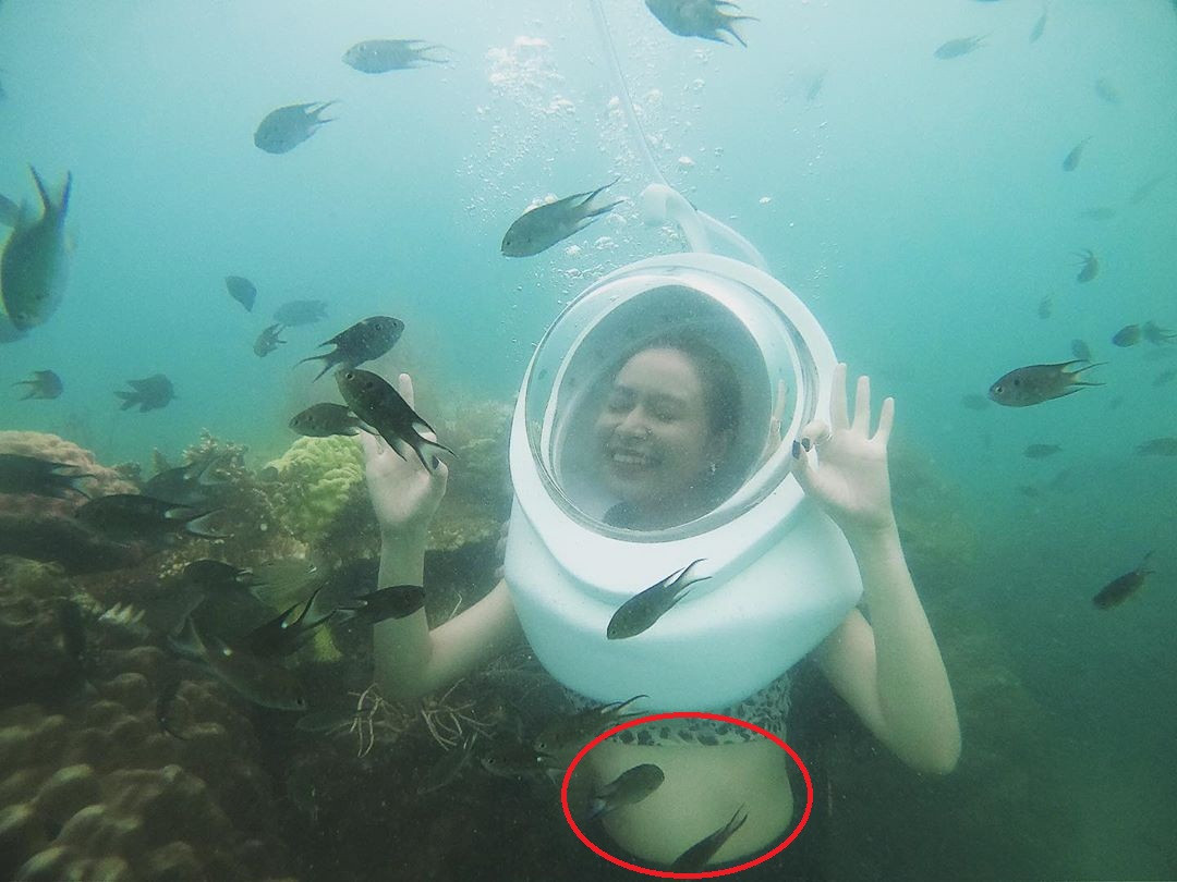 Đăng ảnh bikini, Hoàng Thuỳ Linh bị ‘soi’ tăng cân rõ rệt còn photoshop lộ liễu ảnh 4