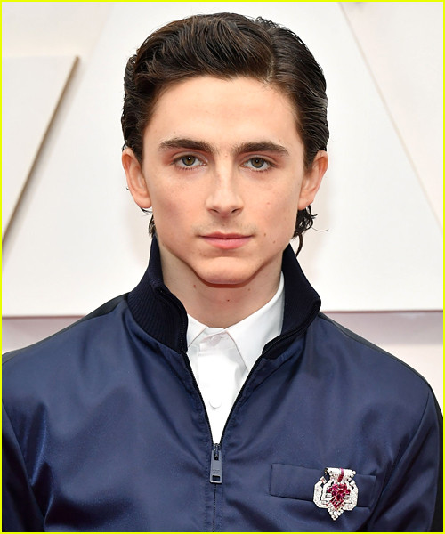 10 diễn viên được tìm kiếm nhiều nhất trên Google năm 2020 ảnh 7