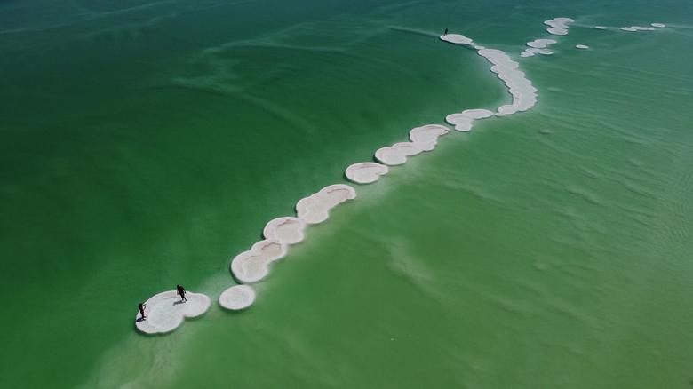 Loạt ảnh ấn tượng về ảnh hưởng của đại dịch COVID-19 bao trùm cả thế giới ảnh 17