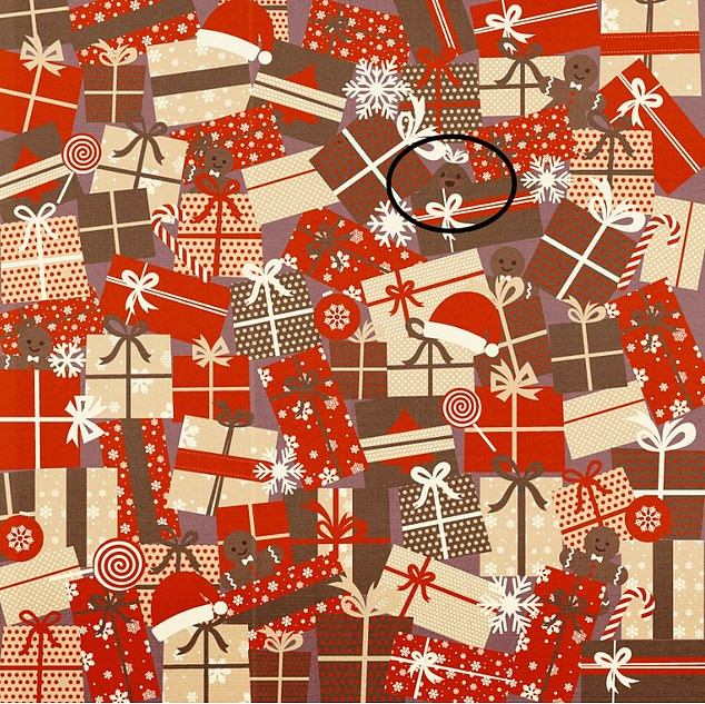 Trò chơi ‘hack não’: Tìm tuần lộc mũi đỏ trong 30 giây ảnh 14