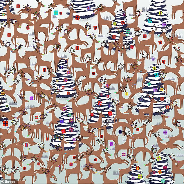 Trò chơi ‘hack não’: Tìm tuần lộc mũi đỏ trong 30 giây ảnh 1