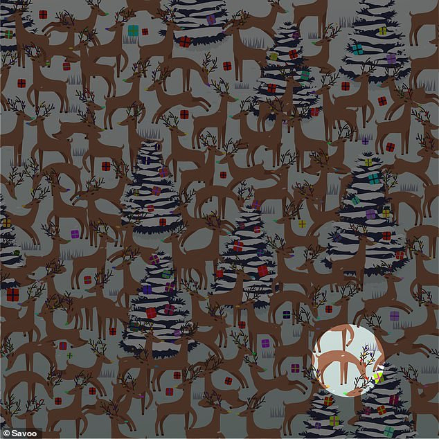 Trò chơi ‘hack não’: Tìm tuần lộc mũi đỏ trong 30 giây ảnh 8