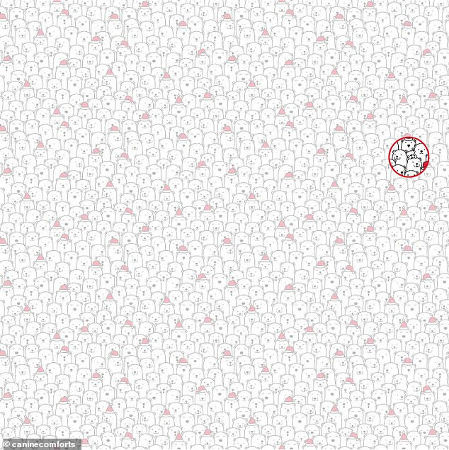 Trò chơi ‘hack não’: Tìm tuần lộc mũi đỏ trong 30 giây ảnh 11