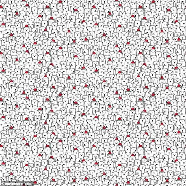 Trò chơi ‘hack não’: Tìm tuần lộc mũi đỏ trong 30 giây ảnh 4