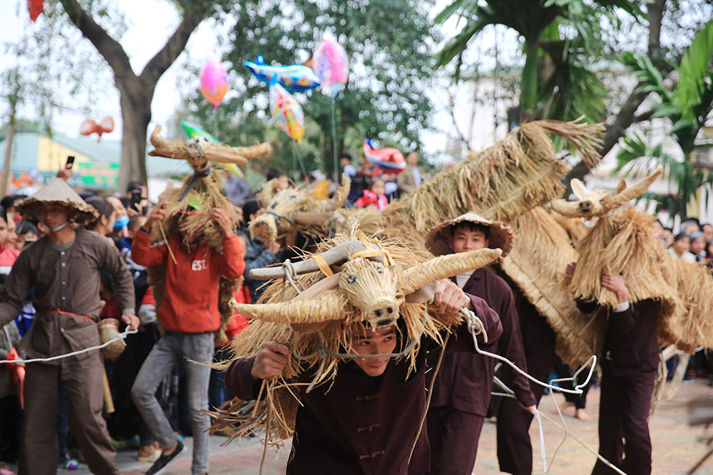 Độc đáo lễ hội trâu rơm bò rạ ngày xuân ảnh 9