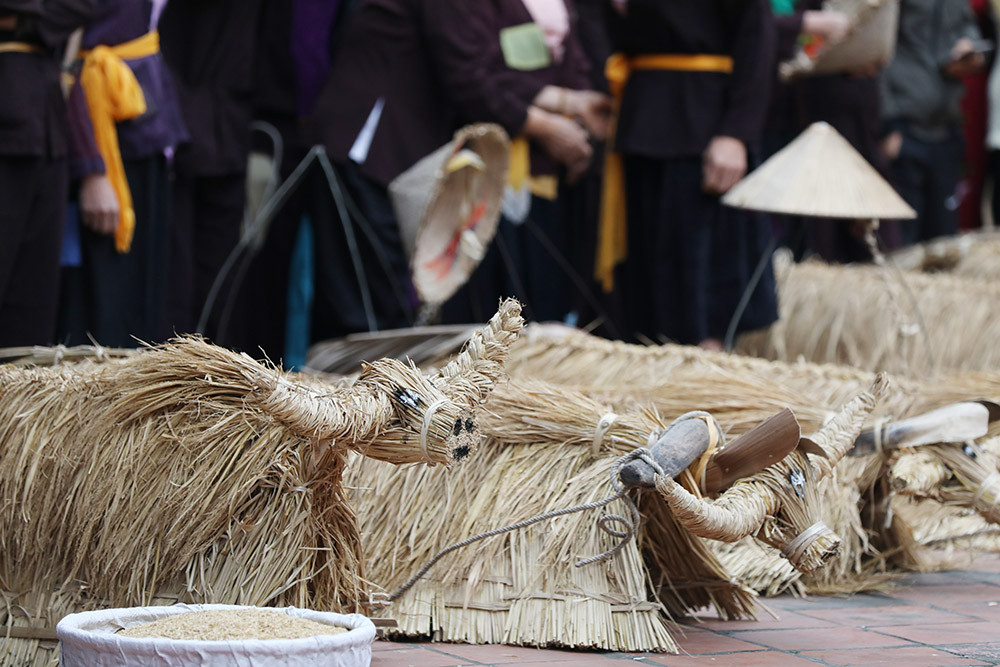 Độc đáo lễ hội trâu rơm bò rạ ngày xuân ảnh 14