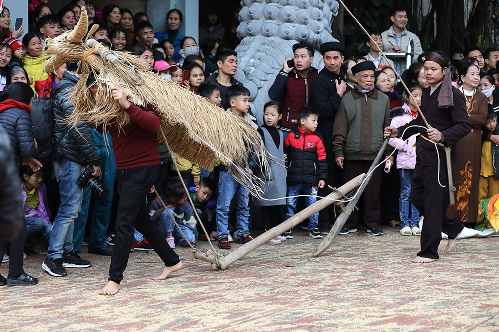 Độc đáo lễ hội trâu rơm bò rạ ngày xuân ảnh 15