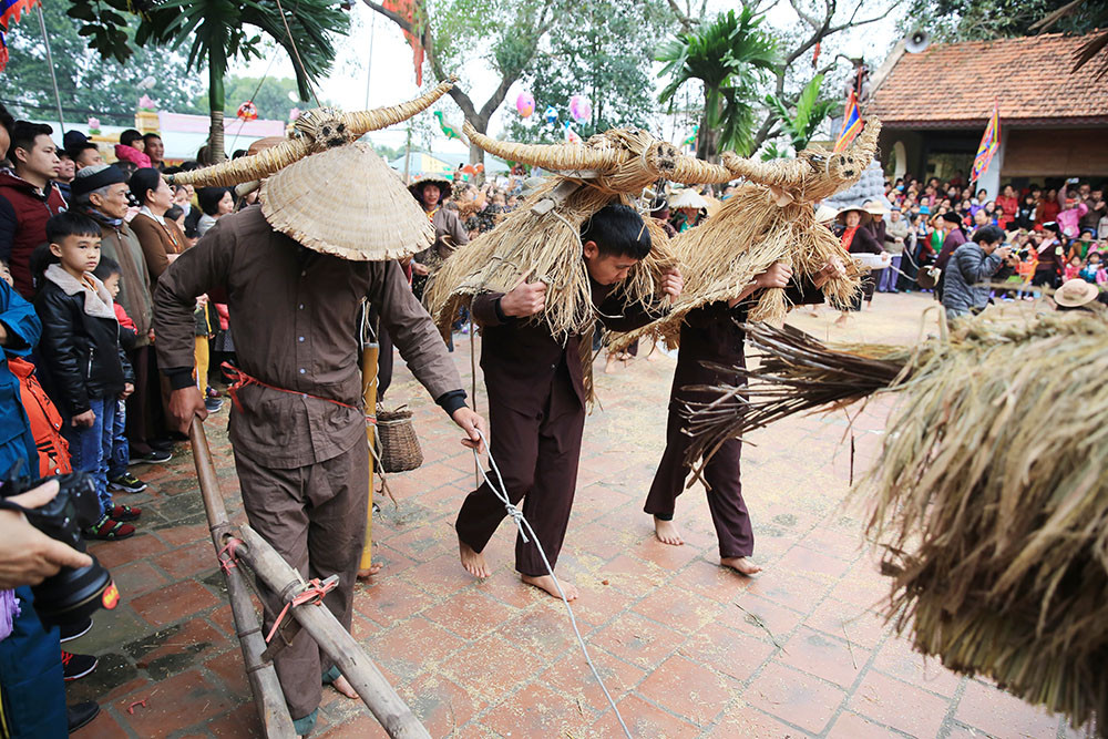 Độc đáo lễ hội trâu rơm bò rạ ngày xuân ảnh 10