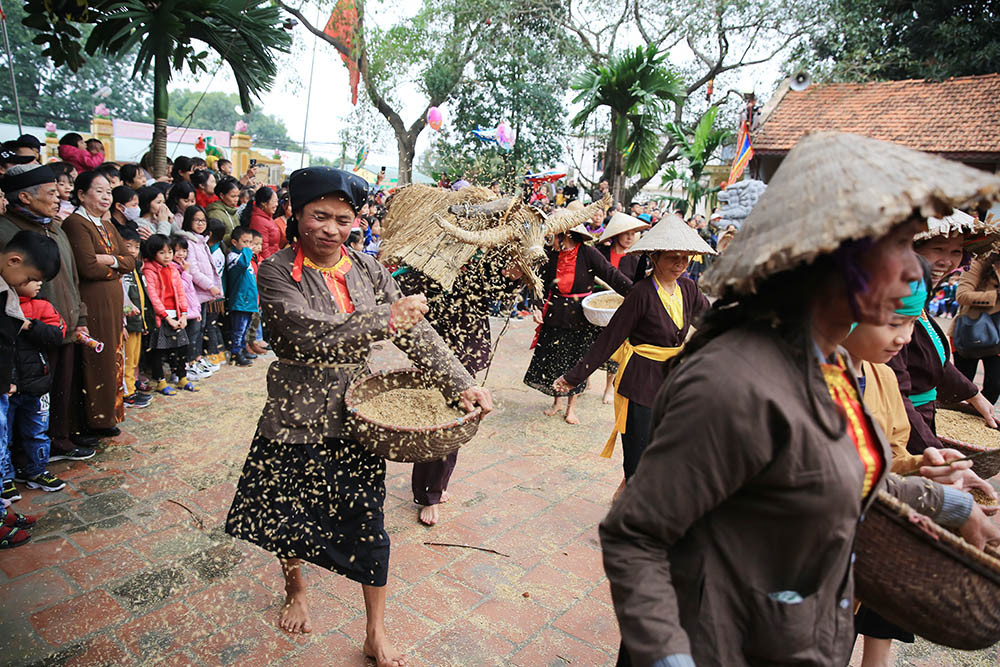Độc đáo lễ hội trâu rơm bò rạ ngày xuân ảnh 11