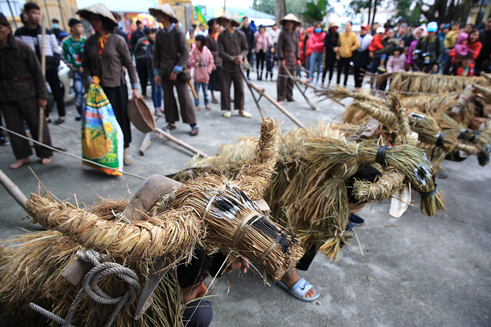 Độc đáo lễ hội trâu rơm bò rạ ngày xuân ảnh 2