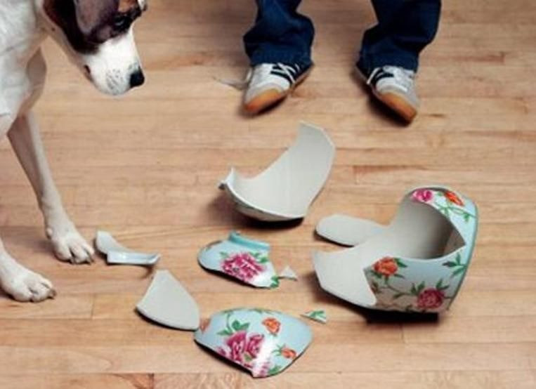 Những việc không nên làm vào sáng mùng 1 Tết ảnh 1