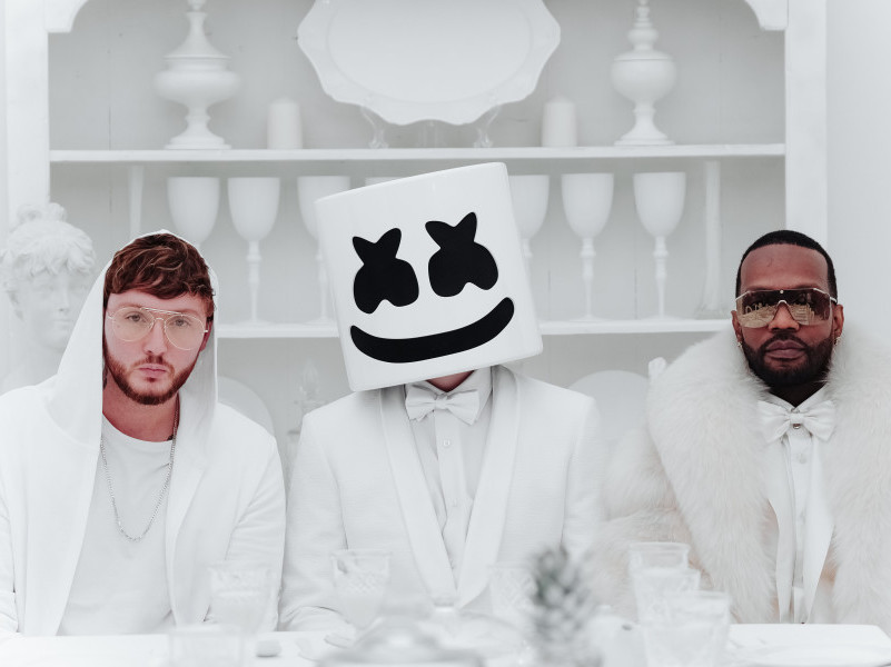 "Người bí ẩn" Marshmello và những lần “gây bão” cùng các ngôi sao nhạc Pop hàng đầu ảnh 6