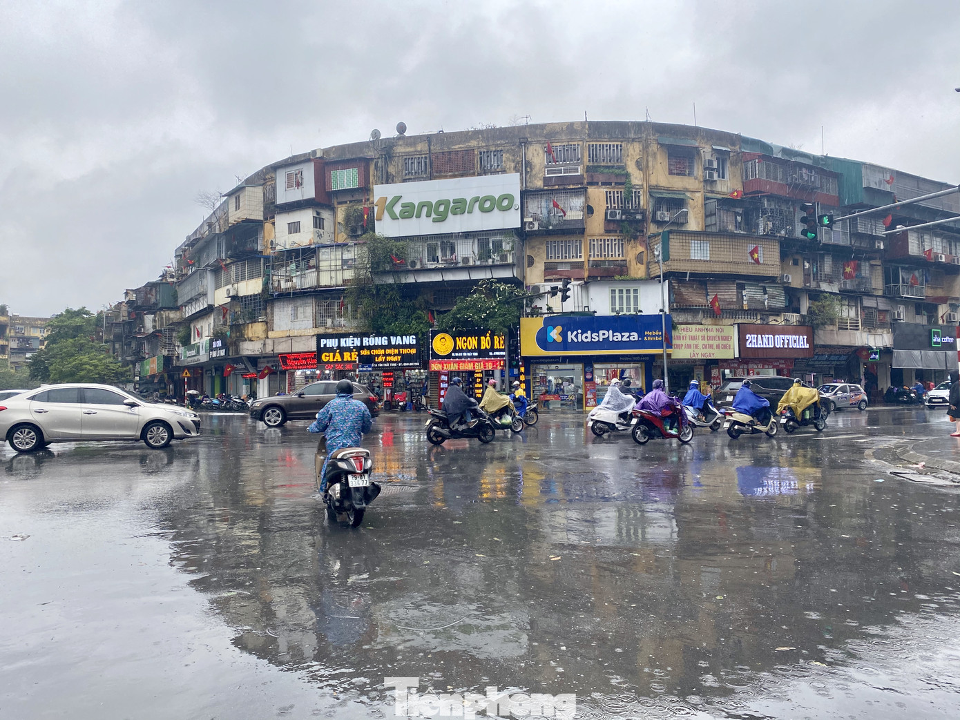 Mưa kéo dài, đào, quất thê thảm rớt giá ảnh 10