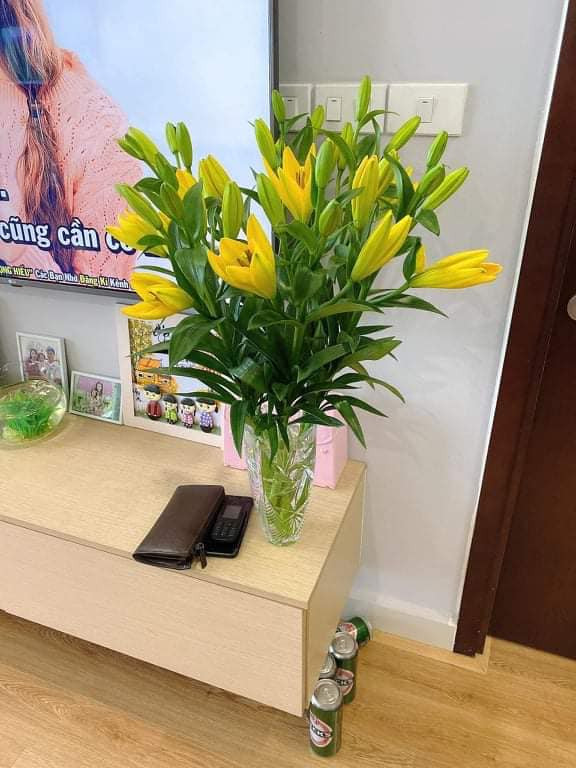 Hoa ly rớt giá thê thảm, cộng đồng mạng kêu gọi 'giải cứu' ảnh 5