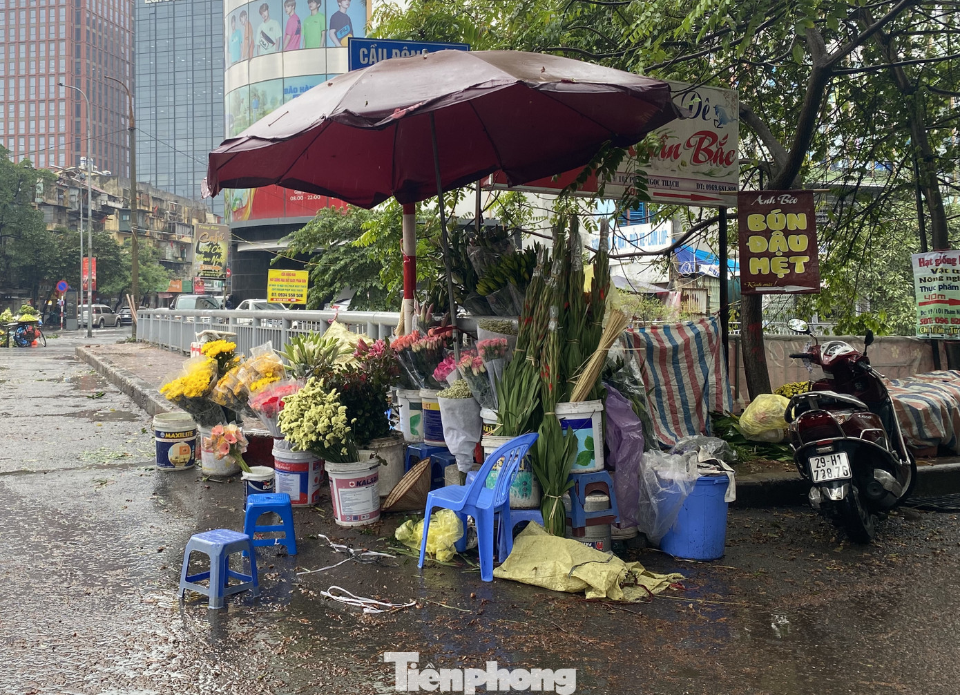 Mưa kéo dài, đào, quất thê thảm rớt giá ảnh 9