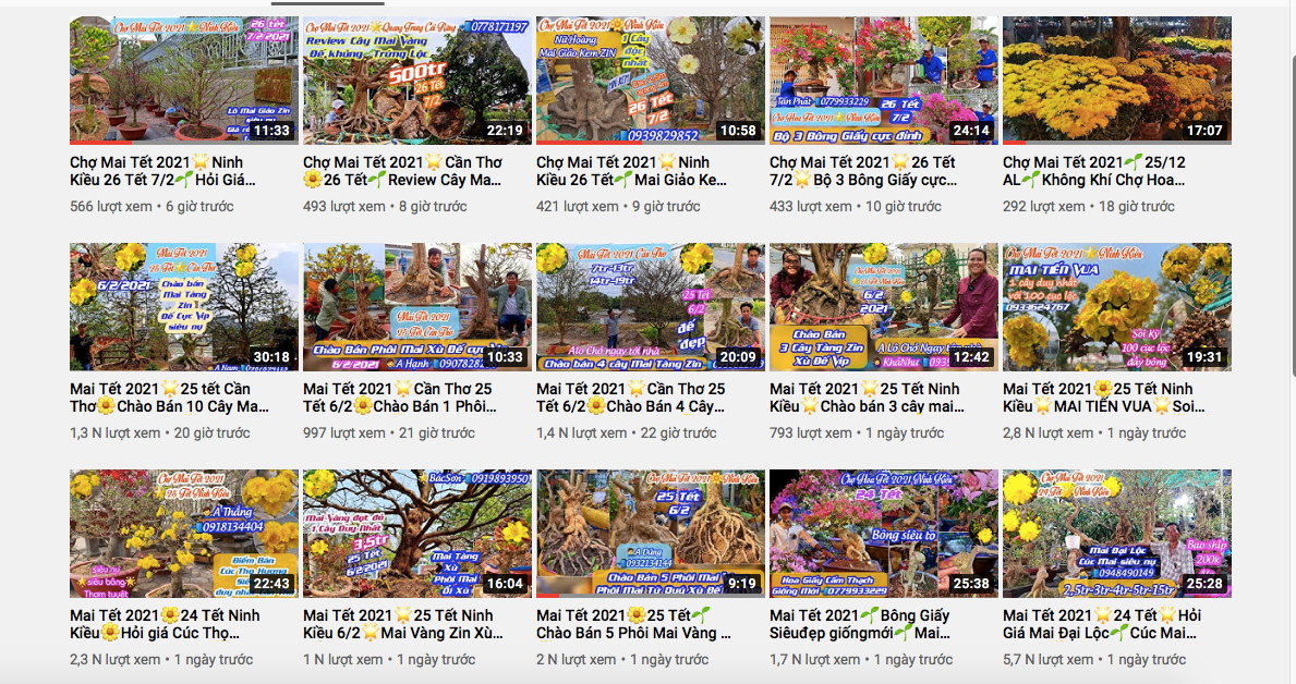 Tiểu thương đua nhau livestream rao bán cây lạ, hoa đẹp ảnh 3