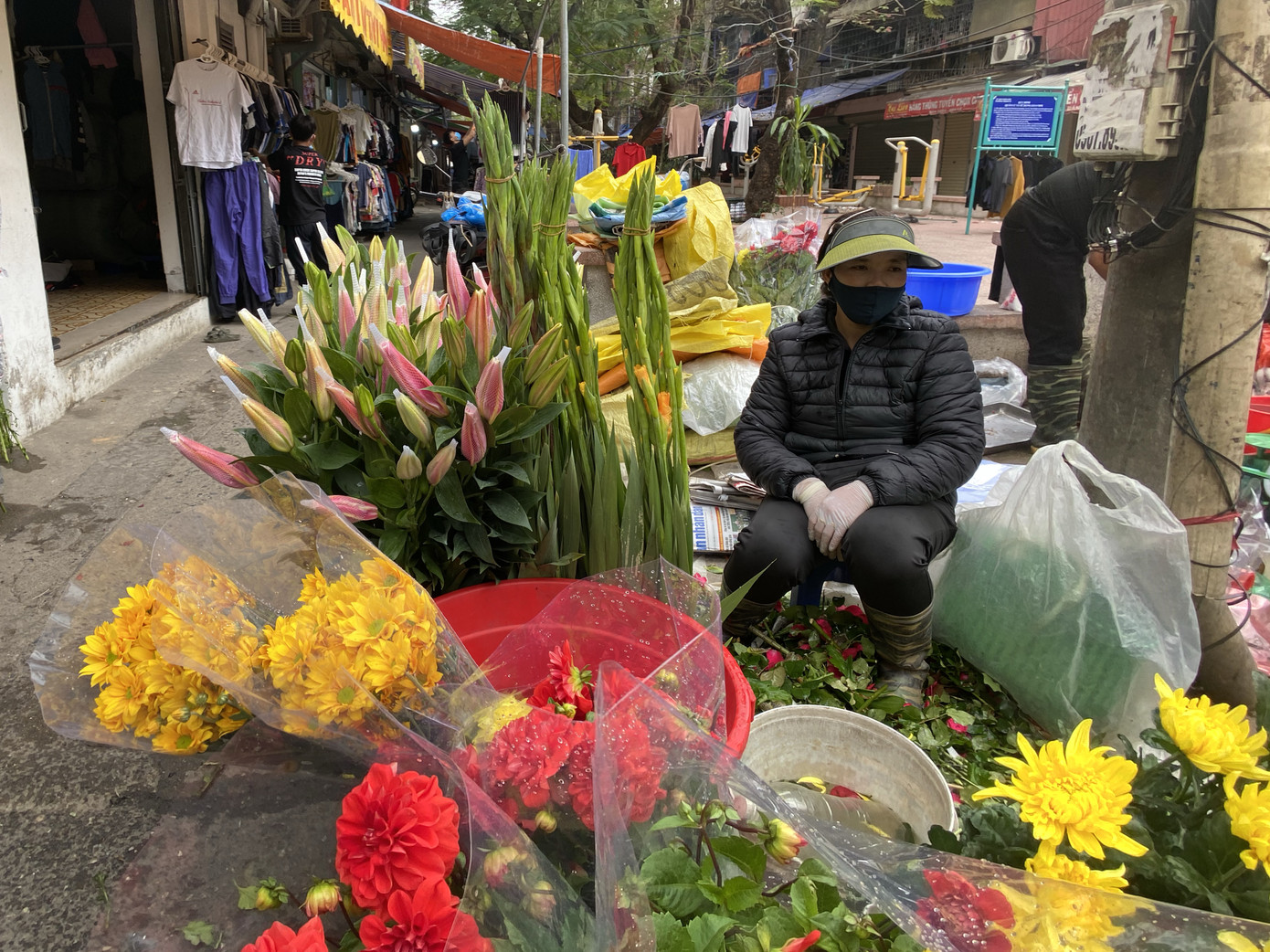 Sát Rằm tháng Giêng, giá hoa ở Hà Nội thấp lạ thường ảnh 3
