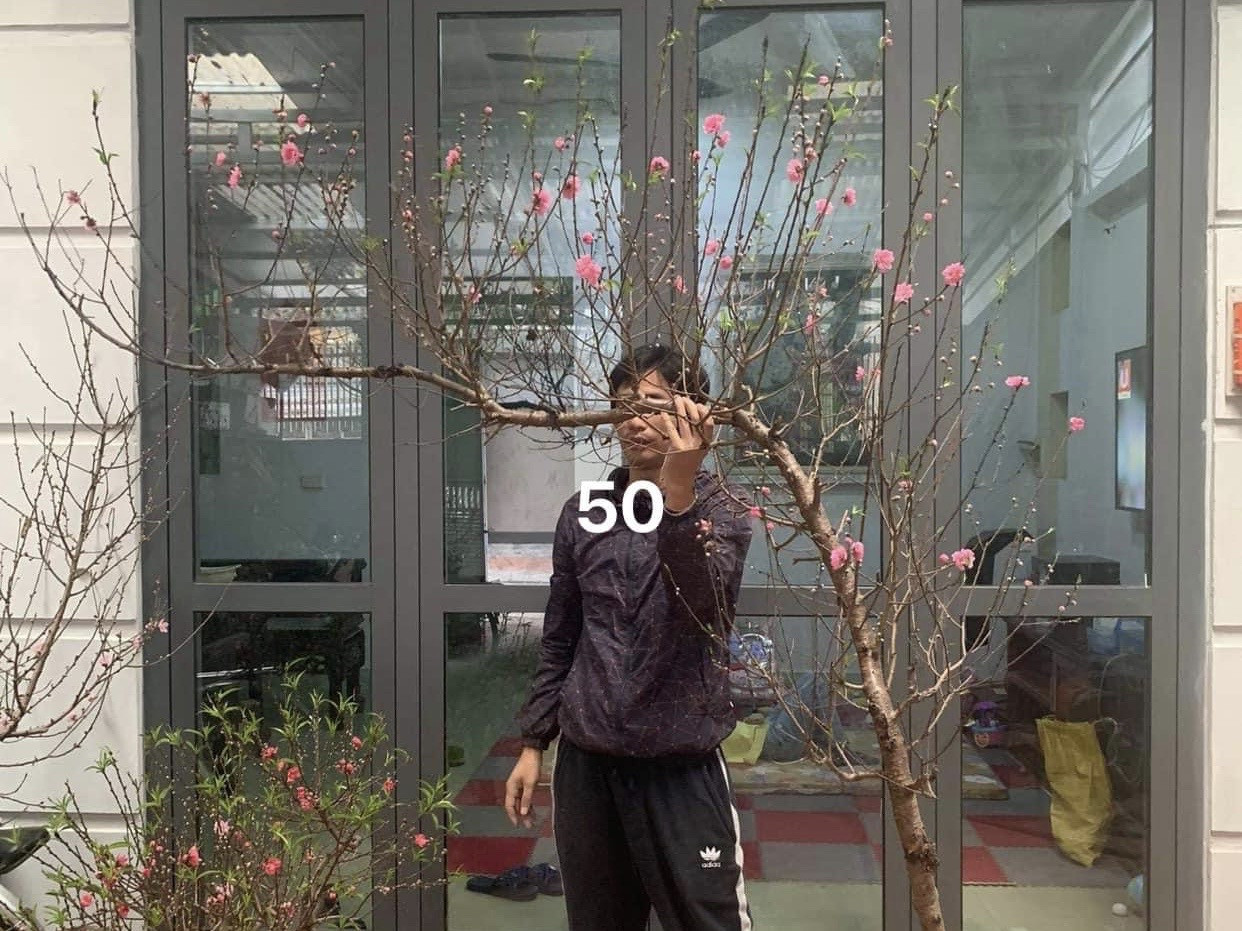 Tiểu thương đua nhau livestream rao bán cây lạ, hoa đẹp ảnh 1