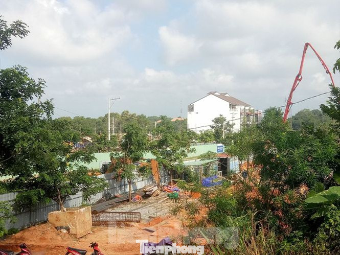 Lùm xùm siêu dự án ở Bình Dương, nhiều biệt thự 'mọc' trên đất nông nghiệp ảnh 2