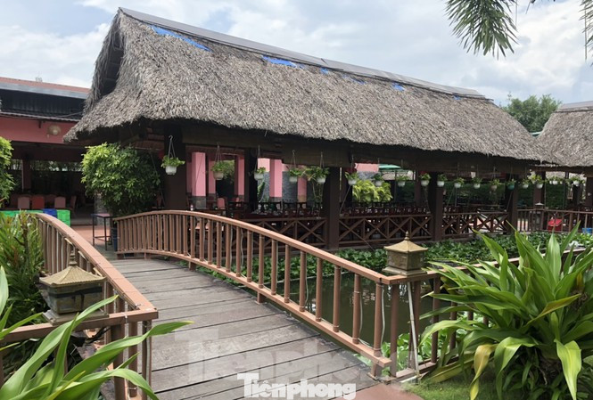 Lùm xùm siêu dự án ở Bình Dương, nhiều biệt thự 'mọc' trên đất nông nghiệp ảnh 8