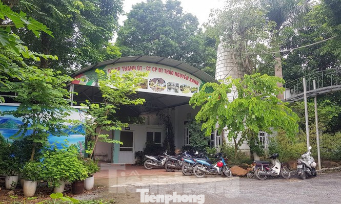 Lùm xùm siêu dự án ở Bình Dương, nhiều biệt thự 'mọc' trên đất nông nghiệp ảnh 6