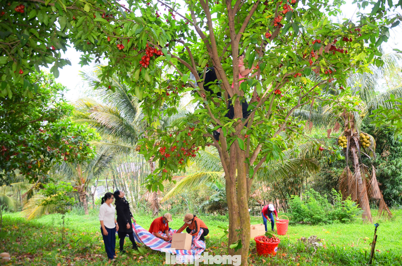 Báo Tiền phong trao 3 đợt quà 'Chung tay chống dịch COVID-19' ở Tây Nguyên ảnh 10