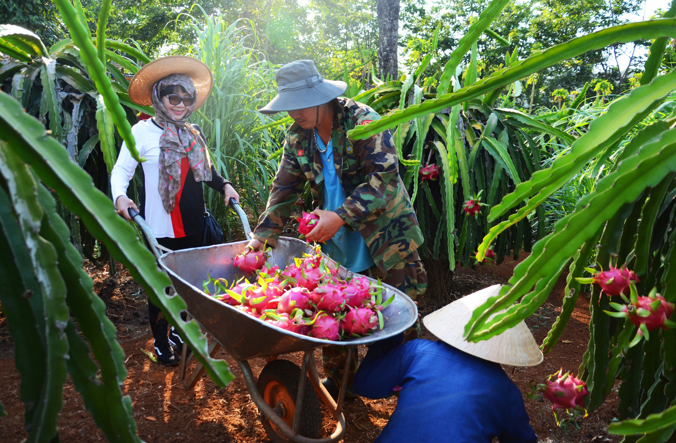 Tây Nguyên: Người dân góp quà động viên tuyến đầu phòng chống COVID-19 ảnh 6